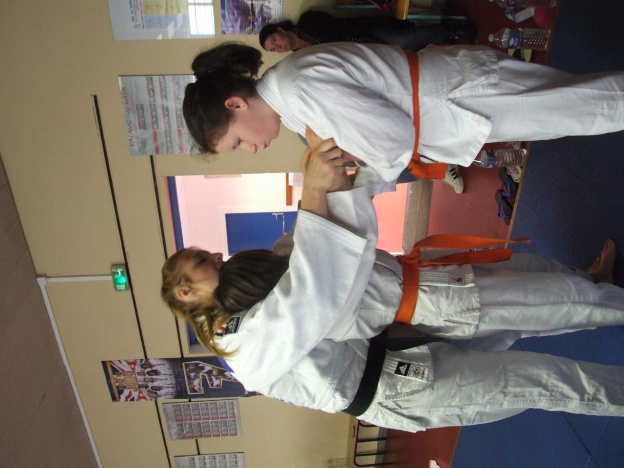 DSCF6491